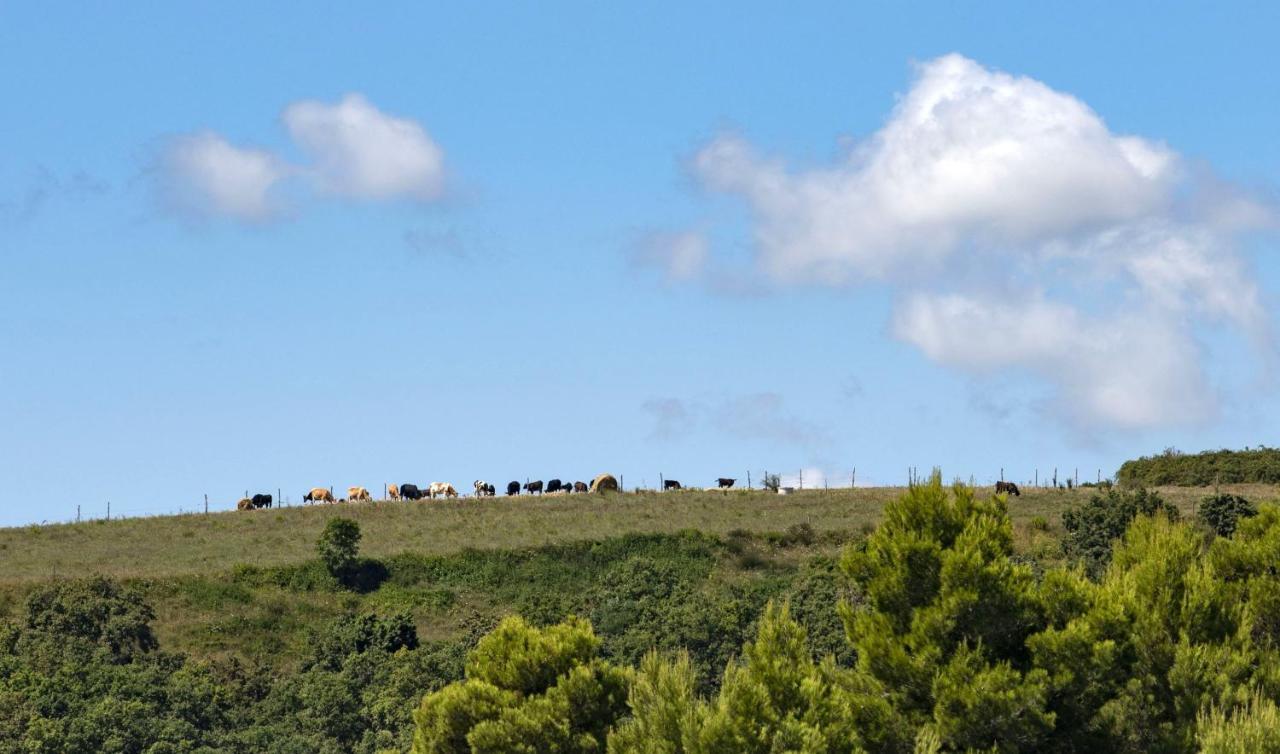 シローロ La Casa Del Sasso Bed & Breakfast エクステリア 写真